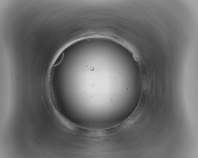 X0000114201532200910091242