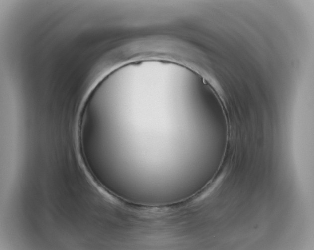 X0000114201533200910091242