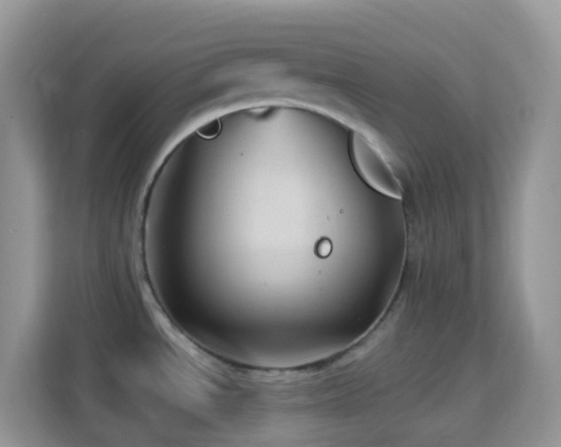 X0000114201534200910091242