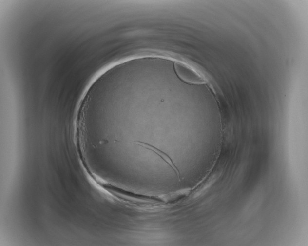 X0000114201535200910091242