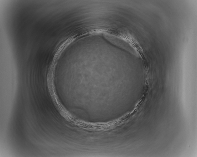 X0000114200001200910161234