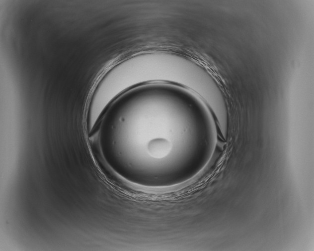 X0000114200003200910161234