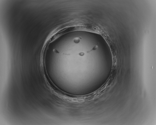 X0000114200004200910161234