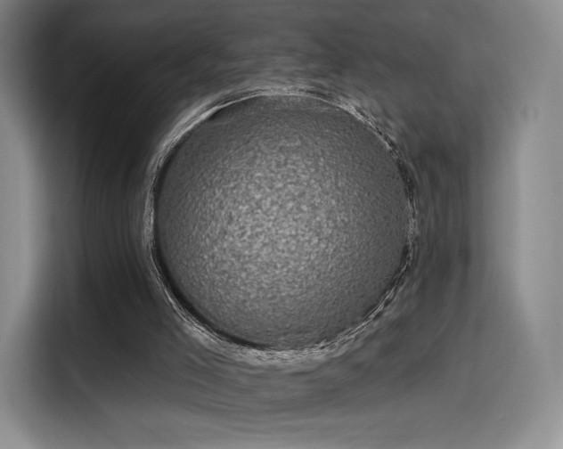 X0000114200005200910161234