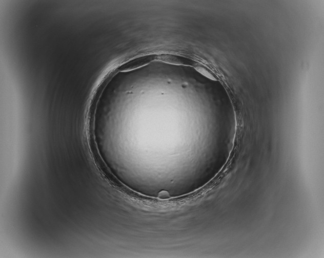 X0000114200006200910161234