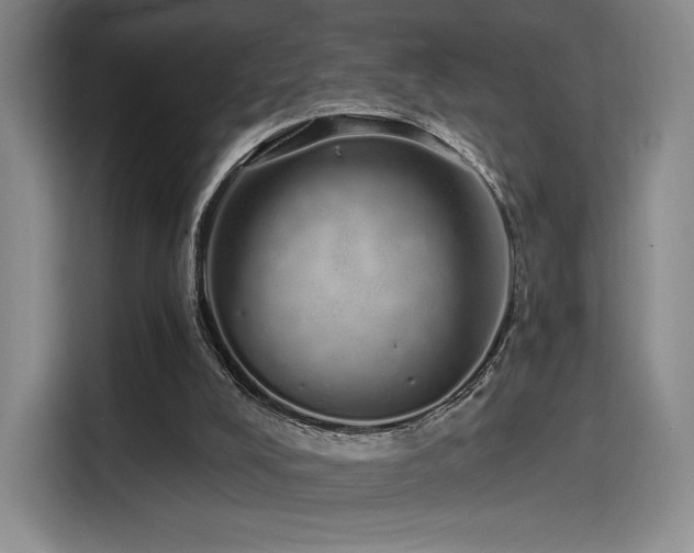 X0000114200008200910161234