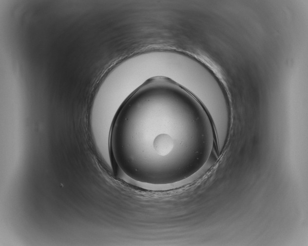 X0000114200009200910161234