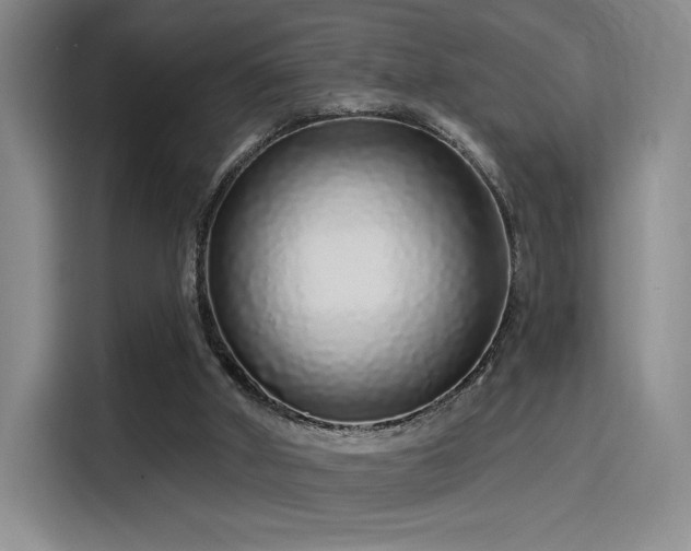 X0000114200010200910161234