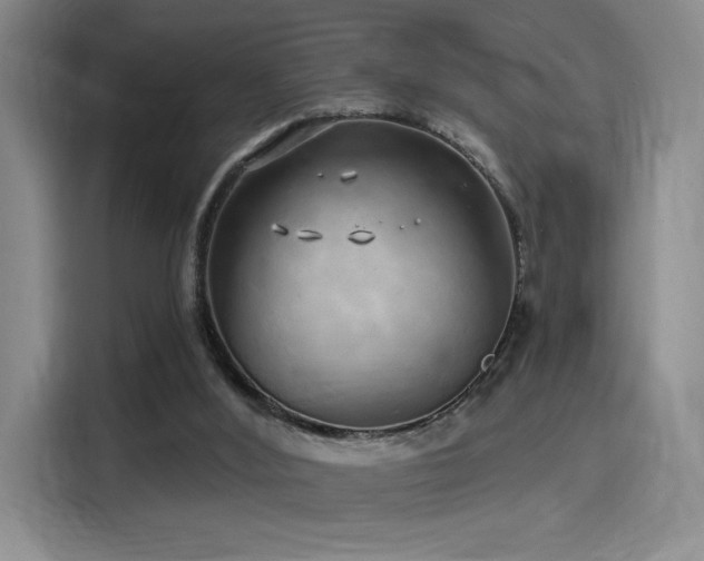 X0000114200012200910161234