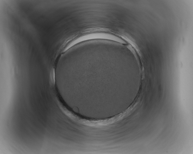 X0000114200013200910161234