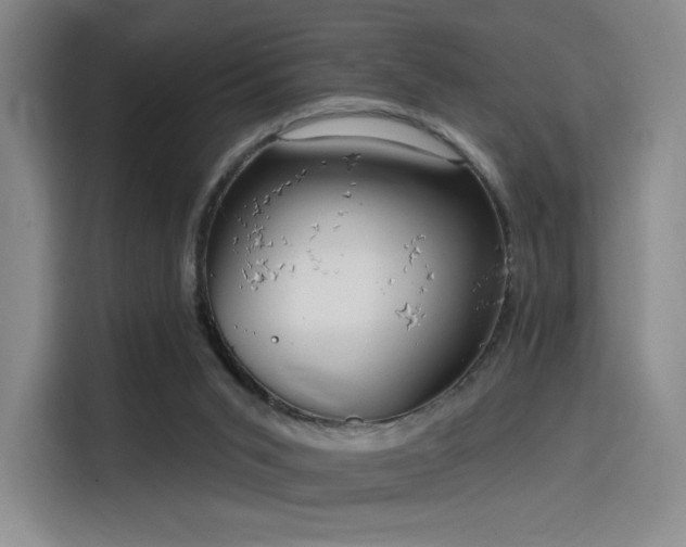 X0000114200015200910161234