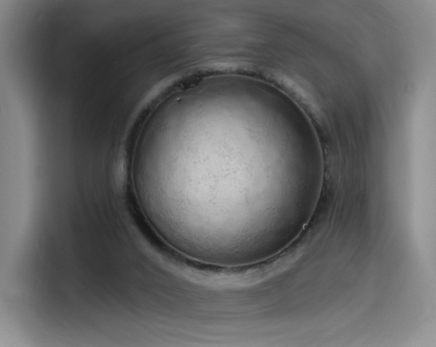 X0000114200016200910161234