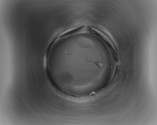 X0000114200019200910161234