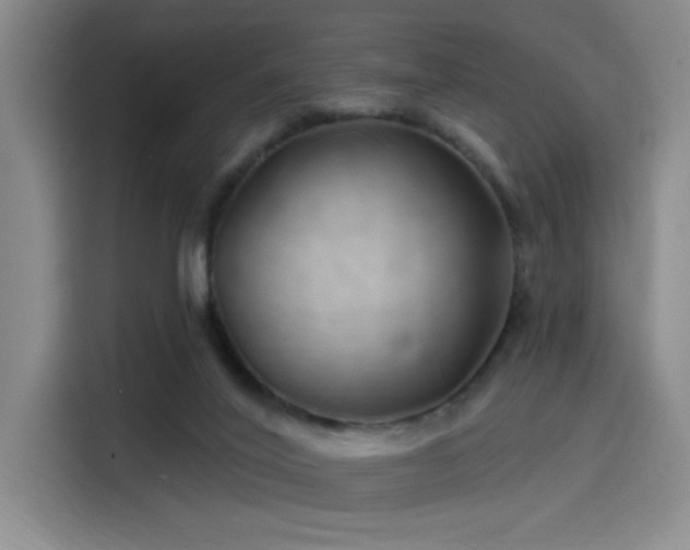 X0000114200020200910161234