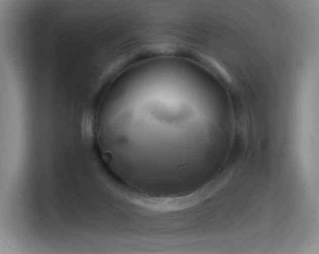 X0000114200023200910161234