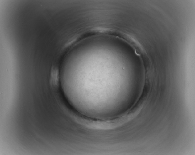 X0000114200024200910161234