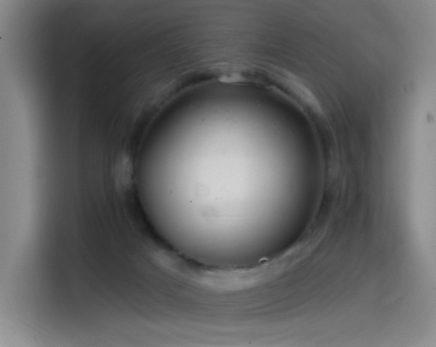 X0000114200025200910161234