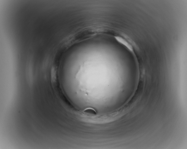 X0000114200026200910161234