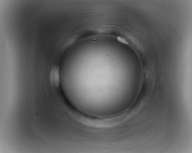 X0000114200028200910161234