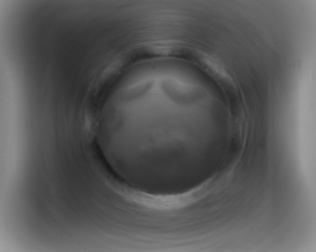 X0000114200031200910161234