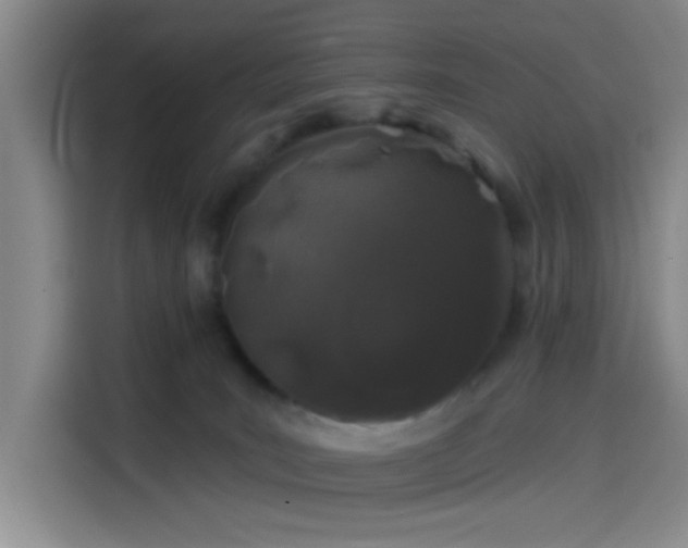 X0000114200035200910161234