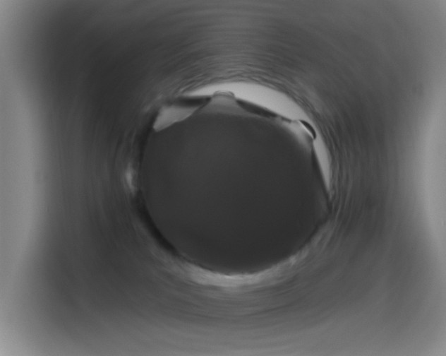 X0000114200039200910161233