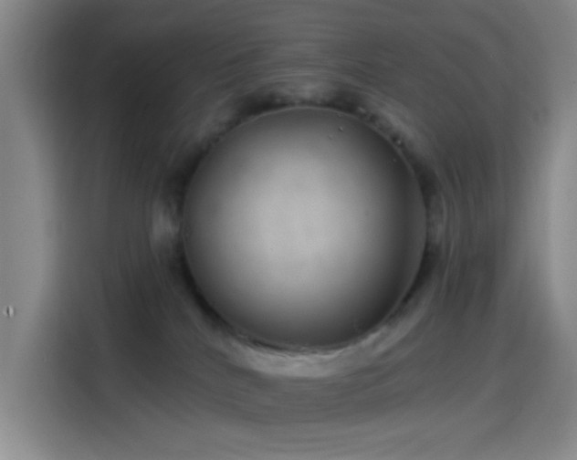 X0000114200040200910161233