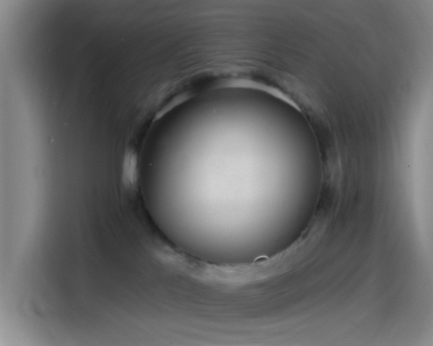 X0000114200041200910161233