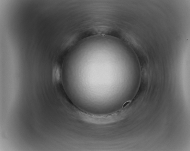 X0000114200042200910161233