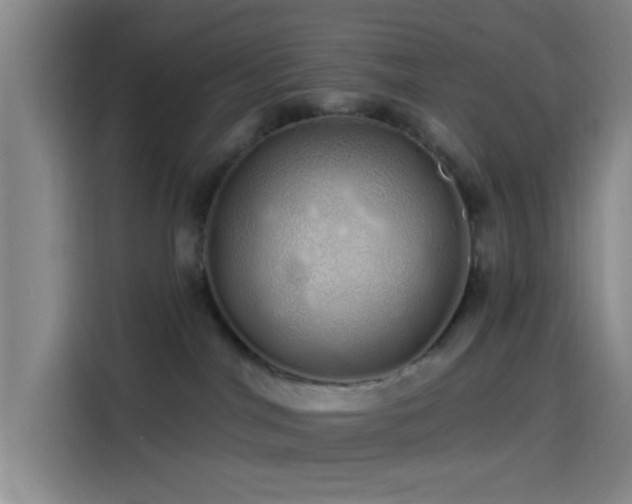 X0000114200044200910161233