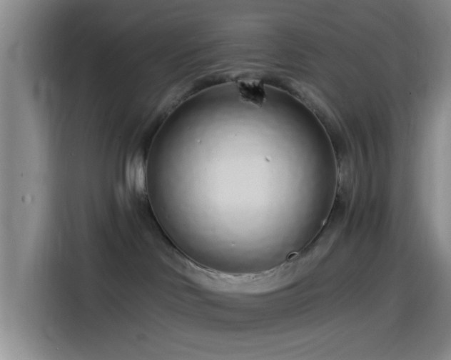 X0000114200046200910161233