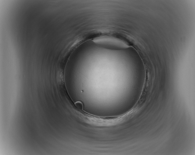 X0000114200048200910161233