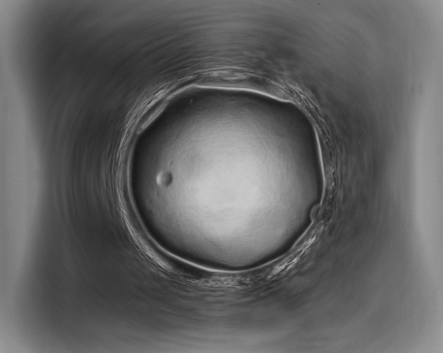 X0000114200049200910161233