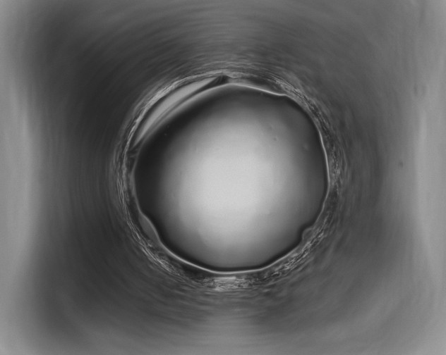 X0000114200050200910161233