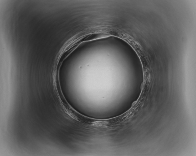 X0000114200051200910161233