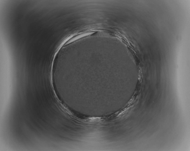 X0000114200052200910161233