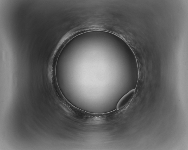 X0000114200056200910161233