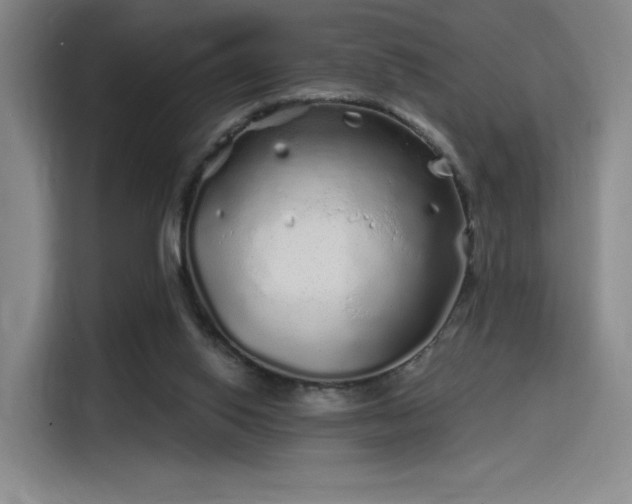 X0000114200062200910161233