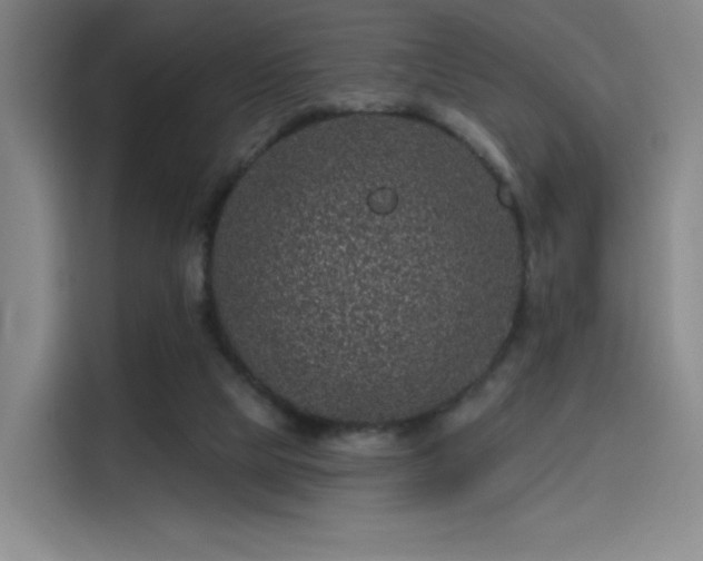 X0000114200065200910161233