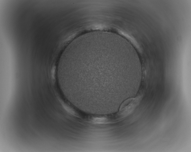 X0000114200066200910161233