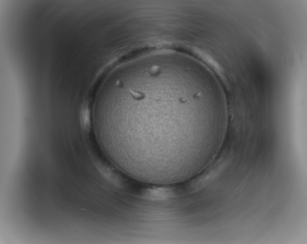 X0000114200067200910161233