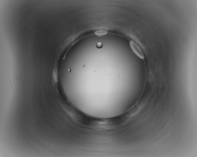 X0000114200068200910161233