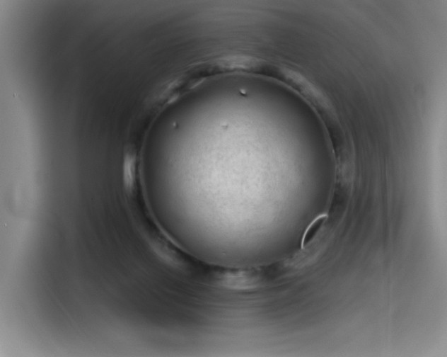 X0000114200070200910161233