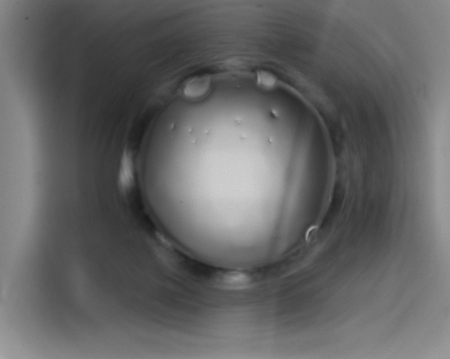 X0000114200075200910161233