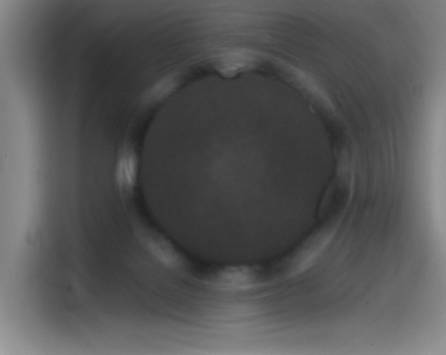 X0000114200076200910161233