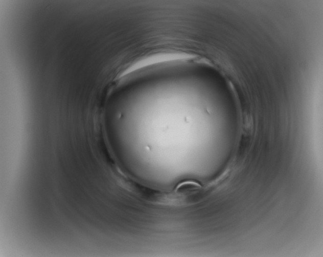 X0000114200078200910161233