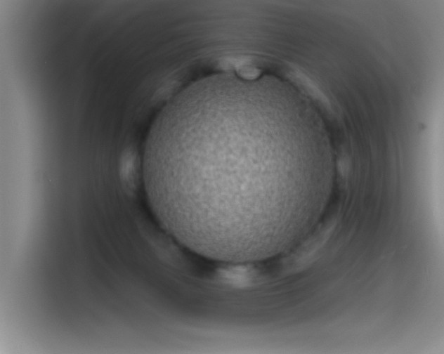 X0000114200079200910161233