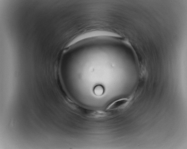 X0000114200082200910161233