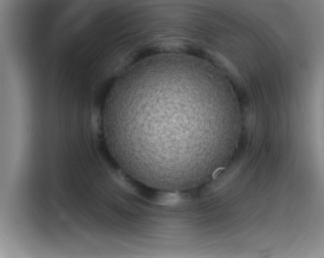 X0000114200083200910161233