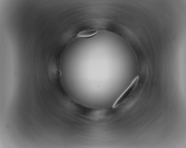 X0000114200084200910161233